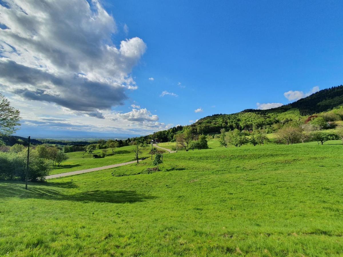 Ferienwohnung Am Musbach In Badenweiler-Sehringen Экстерьер фото